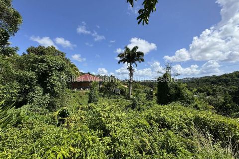 Terra a Joseph, Martinique, Joseph - € 295.000 | Ref: 1848 - foto 2