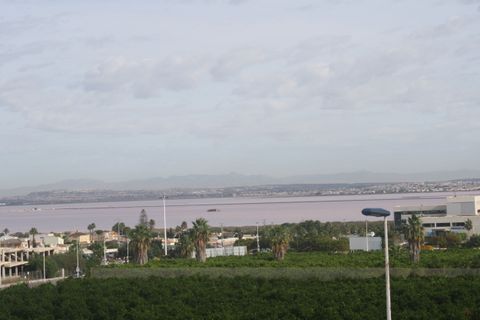 Landejendom i Torrevieja, Alicante, Torrevieja - € 330.000 | Ref: 99945618-01 - foto 6