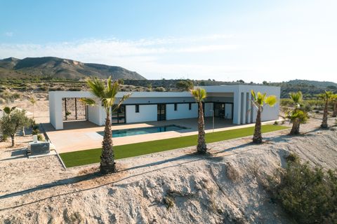 Villa i Pinoso, Alicante, Pinoso - € 465.000 | Ref: 81435443-01 - foto 8