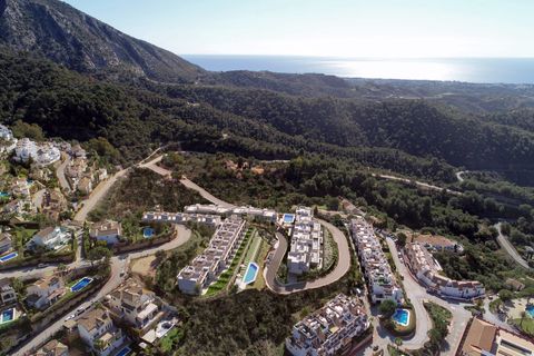 Rækkehus i Istan, Malaga, Istan - € 620.000 | Ref: 86804771-01 - foto 49