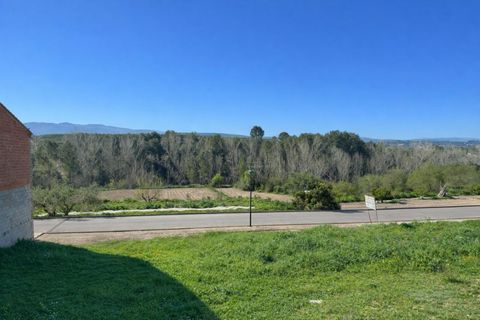 Helårsgrund i Bufali, Valencia, Bufali - € 63.000 | Ref: PNPT294 - foto 3