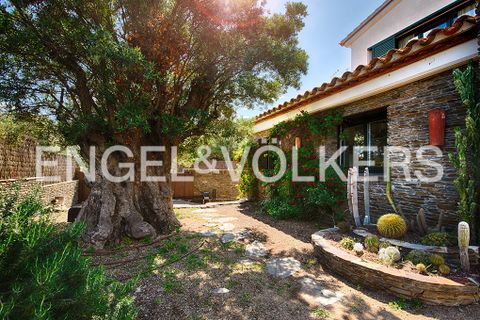 Villa i Cadaques, Gerona, Cadaques - € 2 750 000 | Ref: W-02WP0E - foto 6