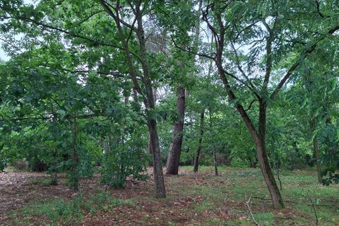 Villa a Arnage, Sarthe, Arnage - € 148.200 | Ref: 001/1673 - foto 8