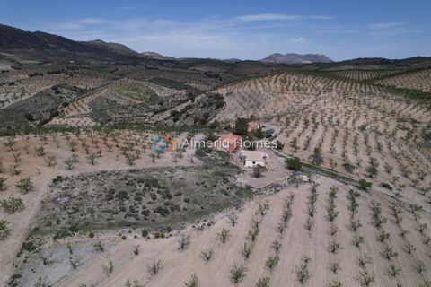 Landejendom i Albox, Almeria, Albox - € 89.995 | Ref: AH-14682 - foto 3