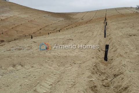 Helårsgrund i Taberno, Almeria, Taberno - € 125.000 | Ref: AH-11960 - foto 2