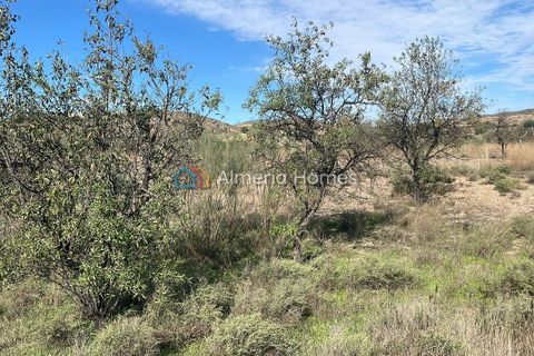 Terra a Partaloa, Almeria, Partaloa - € 14.950 | Ref: AH-4040 - foto 2