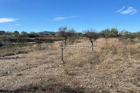Terra a Partaloa, Almeria, Partaloa - € 14.950 | Ref: AH-4040 - foto 3