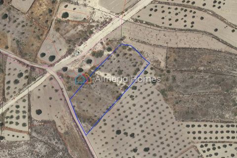 Terra a Partaloa, Almeria, Partaloa - € 14.950 | Ref: AH-4040 - foto 4