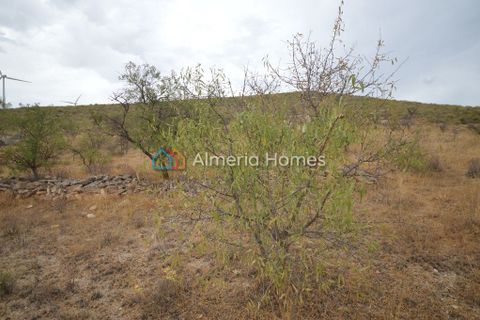 Helårsgrund i Seron, Almeria, Seron - € 49.000 | Ref: AH-2460 - foto 3