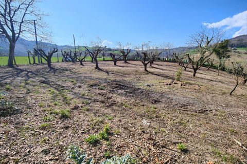Landejendom i Castignano, Ascoli Piceno, Castignano - € 280.000 | Ref: 32950 - foto 32