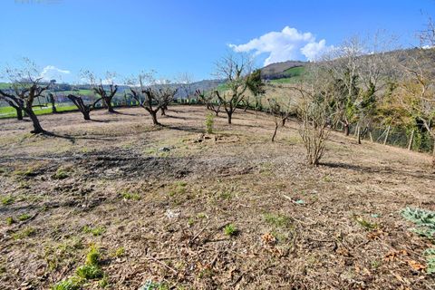Landejendom i Castignano, Ascoli Piceno, Castignano - € 280.000 | Ref: 32950 - foto 33