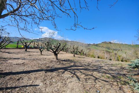 Landejendom i Castignano, Ascoli Piceno, Castignano - € 280.000 | Ref: 32950 - foto 36