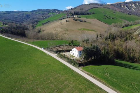 Landejendom i Castignano, Ascoli Piceno, Castignano - € 280.000 | Ref: 32950 - foto 38
