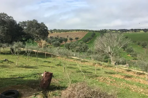 Villa em Sousel, Portalegre, Sousel - € 130.000 | Ref: C0440-00635 - foto 17