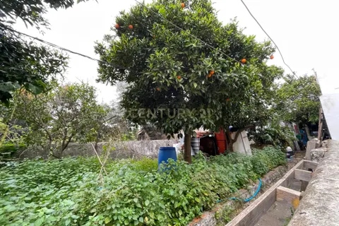 Villa i Entroncamento, Santarem, Entroncamento - € 320.000 | Ref: C0440-00921 - foto 1
