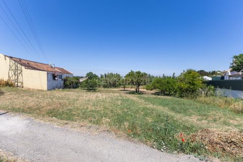 Terra a Palhais, Setubal, Palhais - € 120.000 | Ref: C0440-00996 - foto 4