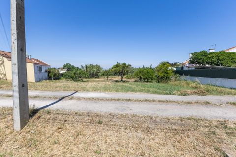Terra a Palhais, Setubal, Palhais - € 120.000 | Ref: C0440-00996 - foto 5