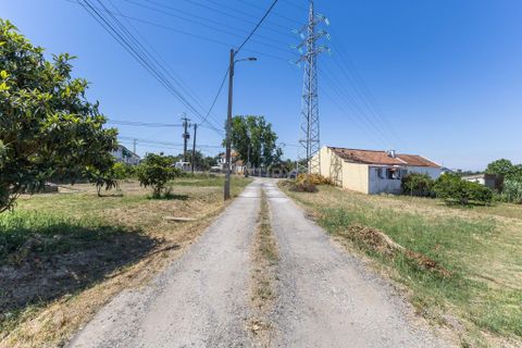 Terra a Palhais, Setubal, Palhais - € 120.000 | Ref: C0440-00996 - foto 7
