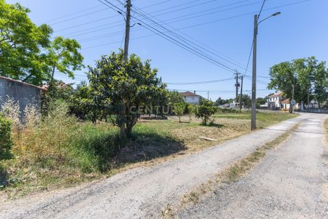 Terra a Palhais, Setubal, Palhais - € 120.000 | Ref: C0440-00996 - foto 8