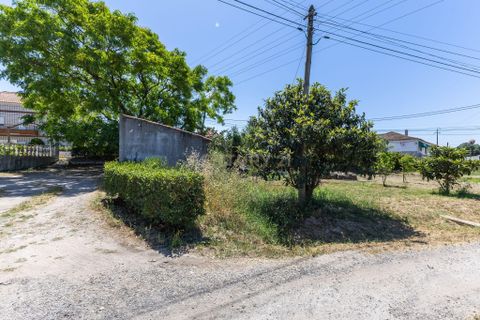 Terra a Palhais, Setubal, Palhais - € 120.000 | Ref: C0440-00996 - foto 11