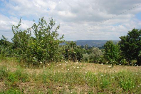 Helårsgrund i Santo Andre, Setubal, Santo Andre - € 39.500 | Ref: C0289-00252 - foto 3