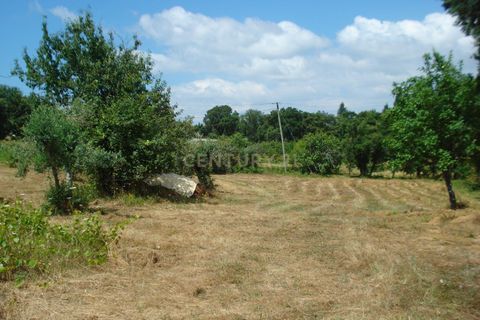 Helårsgrund i Santo Andre, Setubal, Santo Andre - € 39.500 | Ref: C0289-00252 - foto 5