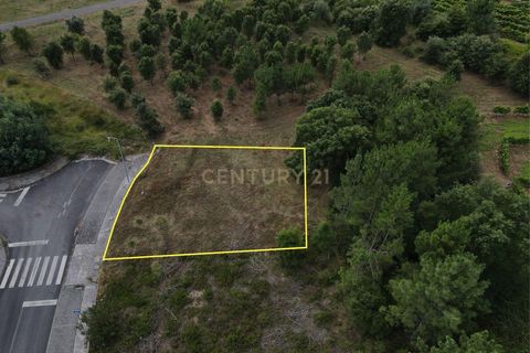Helårsgrund i Coimbra, Coimbra, Coimbra - € 142.500 | Ref: C0289-00848 - foto 3
