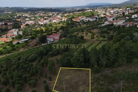 Helårsgrund i Coimbra, Coimbra, Coimbra - € 142.500 | Ref: C0289-00848 - foto 4