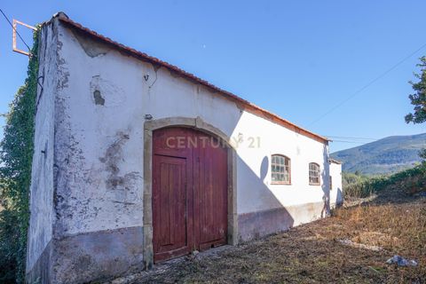 Erhvervsejendom i Lousa, Coimbra, Lousa - € 69.500 | Ref: C0289-01241 - foto 13