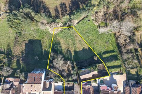 Erhvervsejendom i Lousa, Coimbra, Lousa - € 69.500 | Ref: C0289-01241 - foto 23