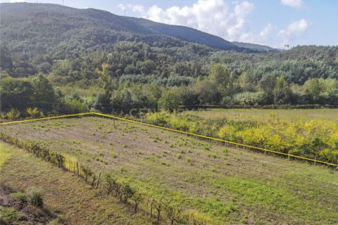 Helårsgrund i Lousa, Coimbra, Lousa - € 37.000 | Ref: C0289-01330 - foto 2