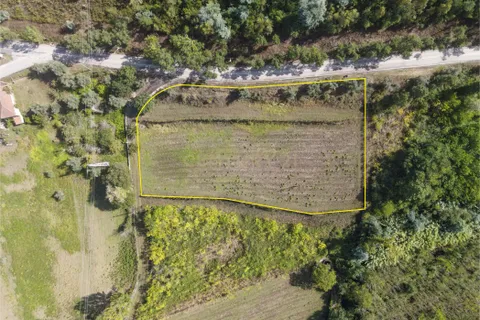 Helårsgrund i Lousa, Coimbra, Lousa - € 37.000 | Ref: C0289-01330 - foto 6
