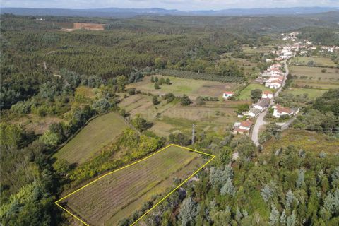 Helårsgrund i Lousa, Coimbra, Lousa - € 37.000 | Ref: C0289-01330 - foto 8