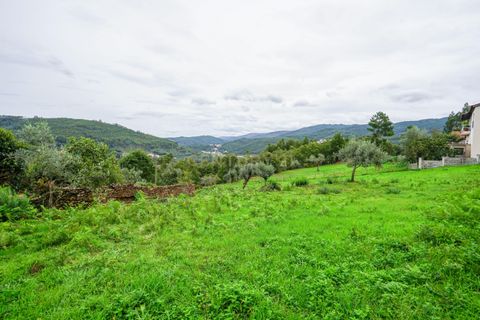 Helårsgrund i Gois, Coimbra, Gois - € 28.000 | Ref: C0289-01350 - foto 8