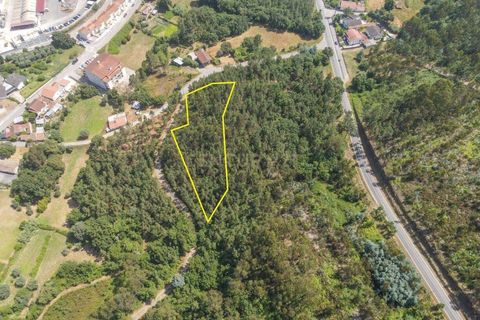 Terreno en Santo Andre, Setubal, Santo Andre - € 25.000 | Ref: C0289-01413 - photo 2