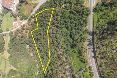 Terreno en Santo Andre, Setubal, Santo Andre - € 25.000 | Ref: C0289-01413 - photo 3