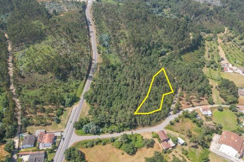 Terreno en Santo Andre, Setubal, Santo Andre - € 25.000 | Ref: C0289-01413 - photo 7