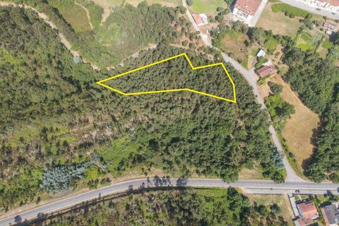 Terreno en Santo Andre, Setubal, Santo Andre - € 25.000 | Ref: C0289-01413 - photo 8
