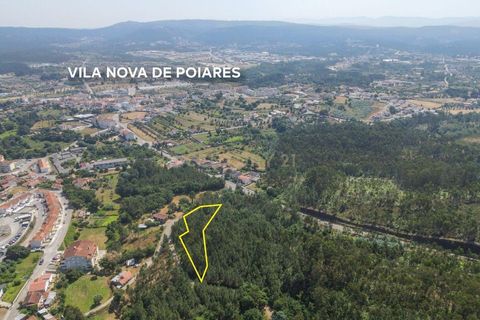 Terreno en Santo Andre, Setubal, Santo Andre - € 25.000 | Ref: C0289-01413 - photo 9