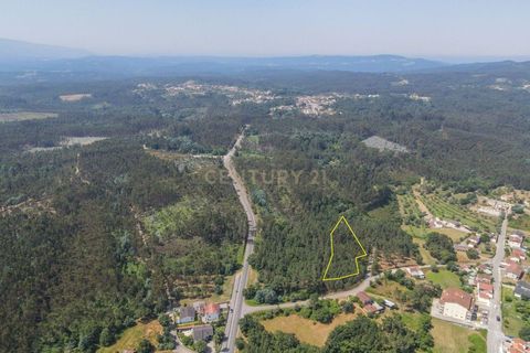 Terreno en Santo Andre, Setubal, Santo Andre - € 25.000 | Ref: C0289-01413 - photo 10