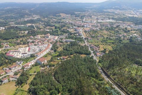 Terreno en Santo Andre, Setubal, Santo Andre - € 25.000 | Ref: C0289-01413 - photo 11