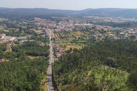Terreno en Santo Andre, Setubal, Santo Andre - € 25.000 | Ref: C0289-01413 - photo 12