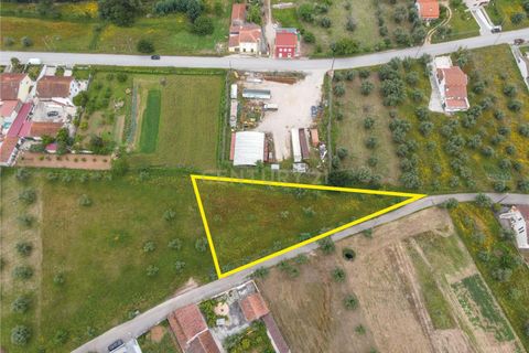 Helårsgrund i Miranda do Corvo, Coimbra, Miranda do Corvo - € 50.000 | Ref: C0289-01518 - foto 2