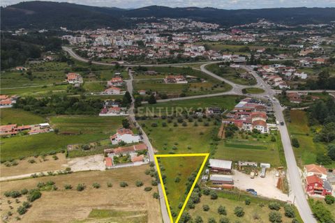 Helårsgrund i Miranda do Corvo, Coimbra, Miranda do Corvo - € 50.000 | Ref: C0289-01518 - foto 7