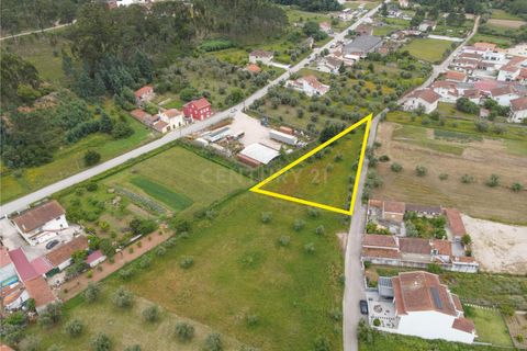 Helårsgrund i Miranda do Corvo, Coimbra, Miranda do Corvo - € 50.000 | Ref: C0289-01518 - foto 9