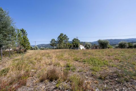 Helårsgrund i Lousa, Coimbra, Lousa - € 39.000 | Ref: C0289-01603 - foto 10