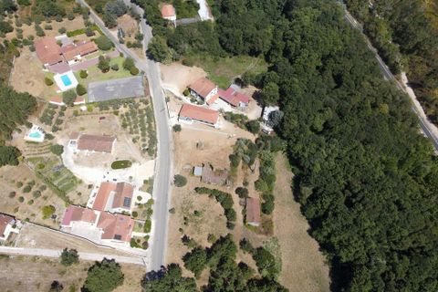 Helårsgrund i Miranda do Corvo, Coimbra, Miranda do Corvo - € 85.000 | Ref: C0289-01790 - foto 11