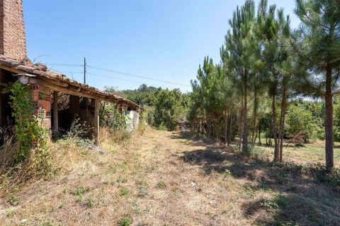 Helårsgrund i Miranda do Corvo, Coimbra, Miranda do Corvo - € 85.000 | Ref: C0289-01790 - foto 26