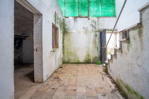 Villa i Miranda do Corvo, Coimbra, Miranda do Corvo - € 69.000 | Ref: C0289-01627 - foto 26