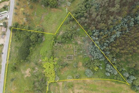 Helårsgrund i Santo Andre, Setubal, Santo Andre - € 199.000 | Ref: C0289-01637 - foto 3